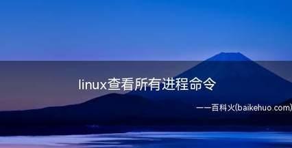 为什么个人电脑应该选择Linux系统（探索Linux系统的优势和适用场景）