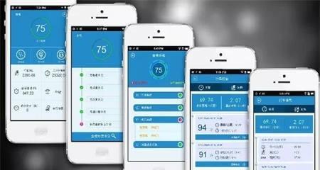 深入解析APP软件开发费用明细（了解APP软件开发费用构成与优化策略）