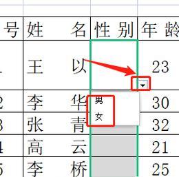 通过WPS办公软件制作精美表格的技巧（掌握WPS表格功能）