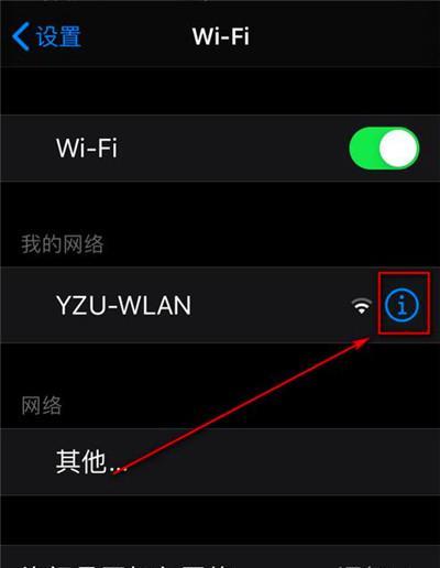 手机连上WiFi却上不了网的原因及解决方法（探寻手机无法访问互联网的可能原因）