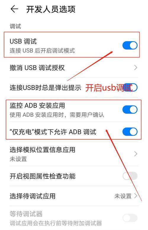 如何开启安卓开发者模式（教你步骤一步一步进行设置）